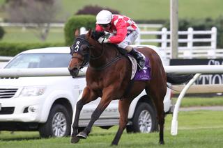 The Hassler winning the Championship Stakes